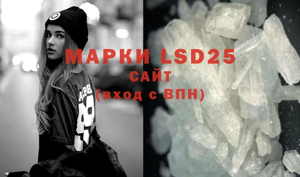 прущие грибы Абаза