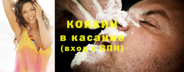 прущие грибы Абаза