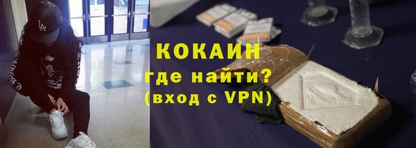 прущие грибы Абаза