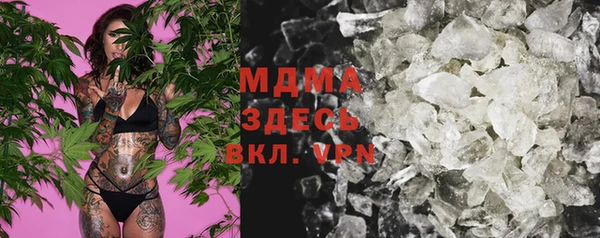 прущие грибы Абаза