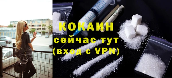 прущие грибы Абаза