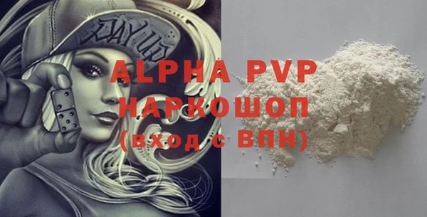 прущие грибы Абаза
