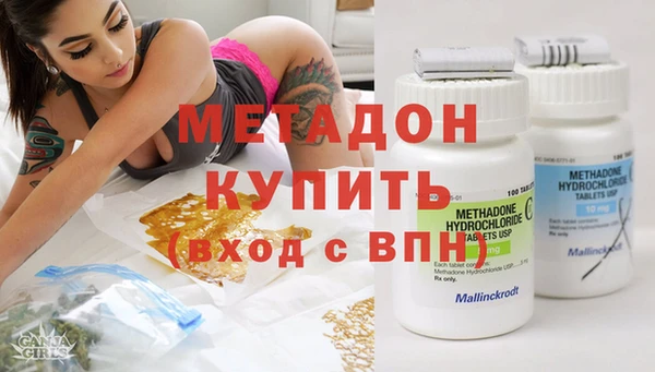 прущие грибы Абаза