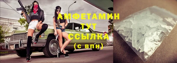 прущие грибы Абаза