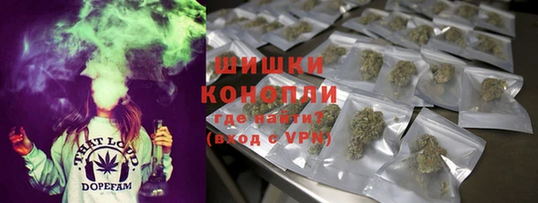 прущие грибы Абаза