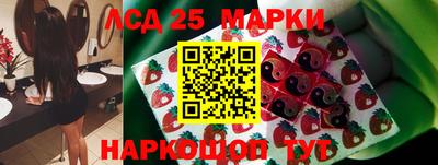 спиды Новодвинск