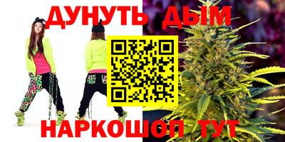 спиды Новодвинск