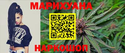 спиды Новодвинск