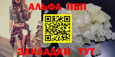 спиды Новодвинск