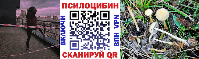 Галлюциногенные грибы мухоморы  Юрга 