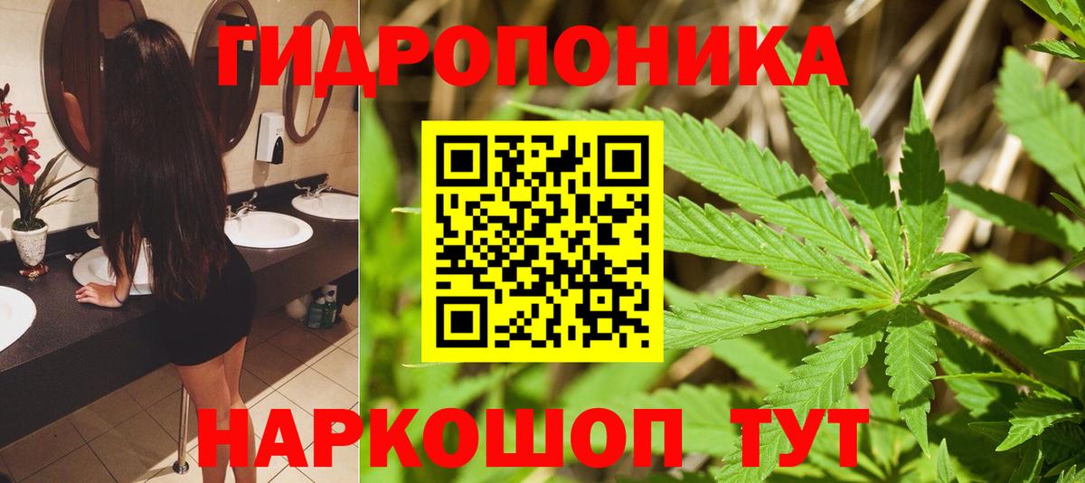 Бошки марихуана Bruce Banner Юрга